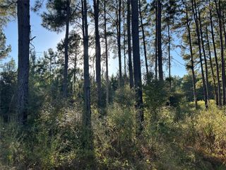 Tract 12A F M 230, Lovelady, TX 77854