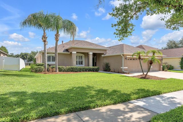2817 DURANT TRAILS BOULEVARD, Dover, FL 33527