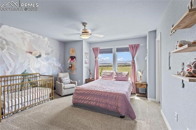 8442 Noreen Falls Drive, Colorado Springs, CO 80924