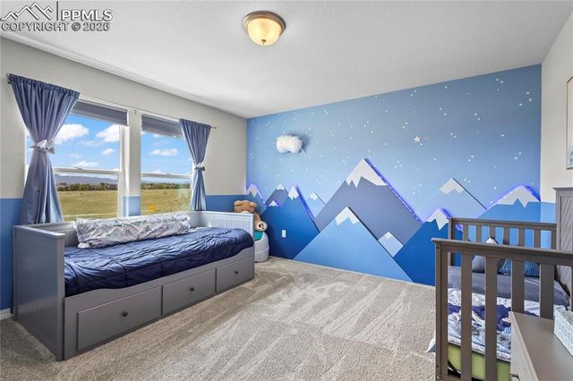 8442 Noreen Falls Drive, Colorado Springs, CO 80924