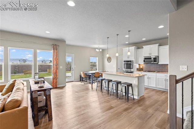 8442 Noreen Falls Drive, Colorado Springs, CO 80924