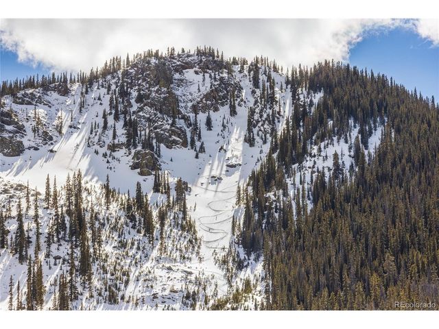 5355 Montezuma Rd, Montezuma, CO 80435