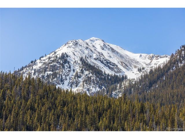 5355 Montezuma Rd, Montezuma, CO 80435