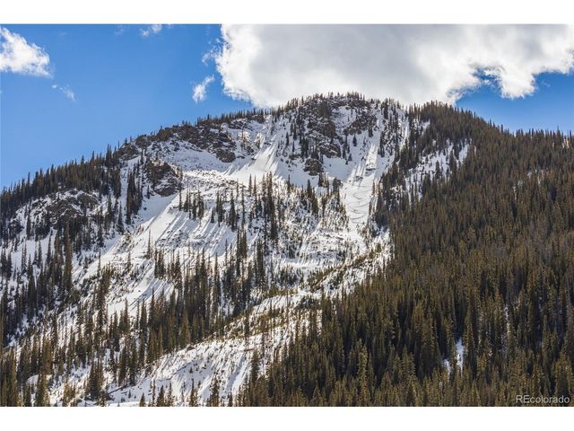 5355 Montezuma Rd, Montezuma, CO 80435