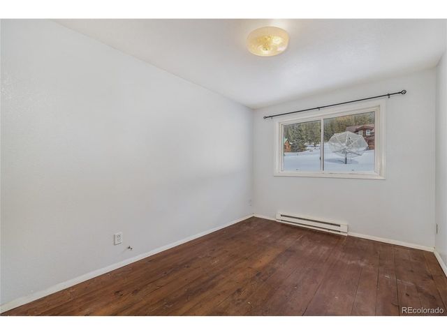 5355 Montezuma Rd, Montezuma, CO 80435