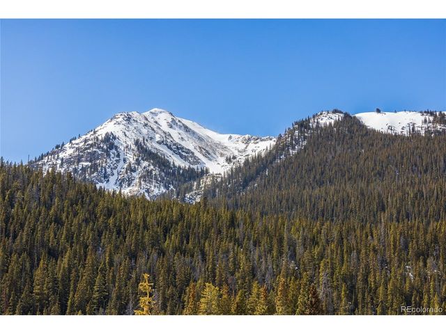 5355 Montezuma Rd, Montezuma, CO 80435