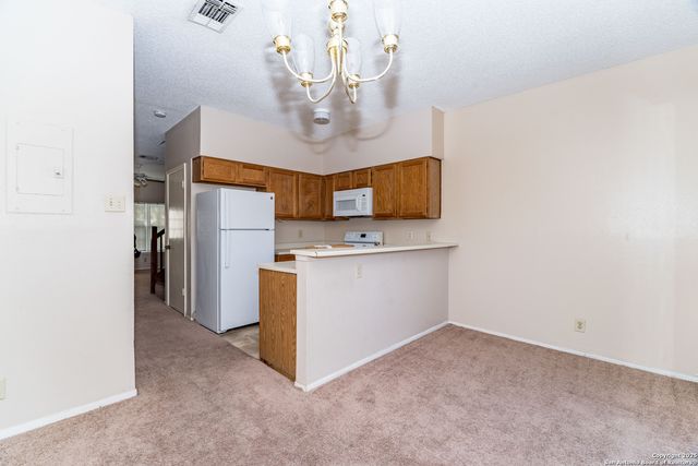 12205 Magnolia Blossom, San Antonio, TX 78247