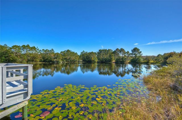 3116 GRANITE RIDGE LOOP, Land O Lakes, FL 34638