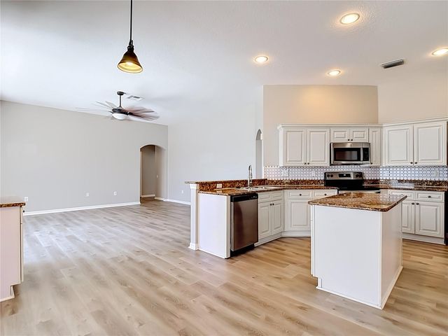 22035 YACHTCLUB TERRACE, Land O Lakes, FL 34639