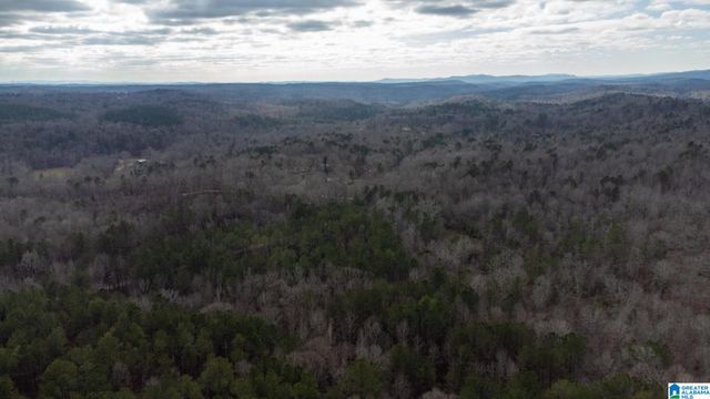 0 COOK SPRINGS ROAD, Odenville, AL 35120
