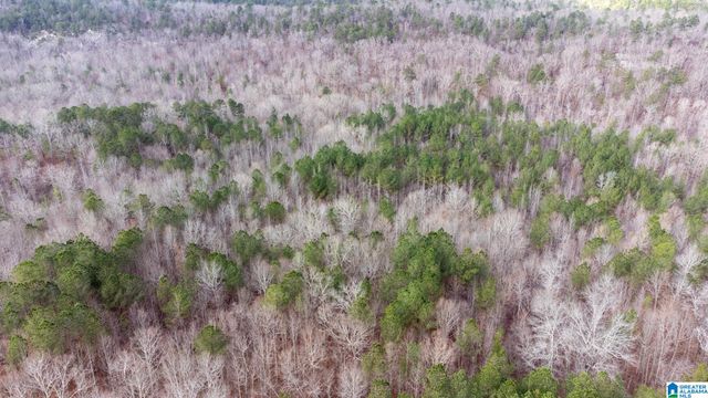 0 COOK SPRINGS ROAD, Odenville, AL 35120