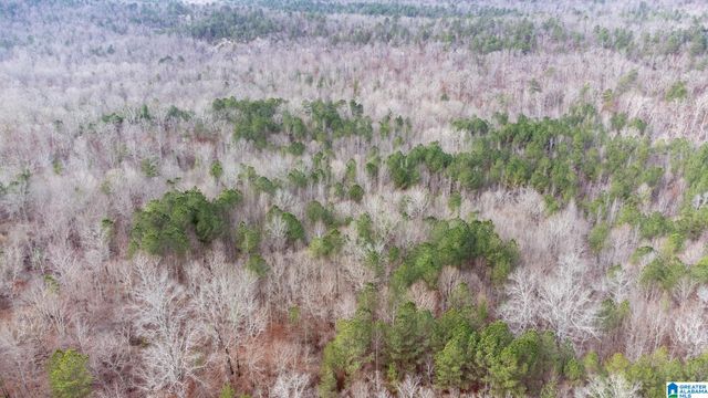 0 COOK SPRINGS ROAD, Odenville, AL 35120