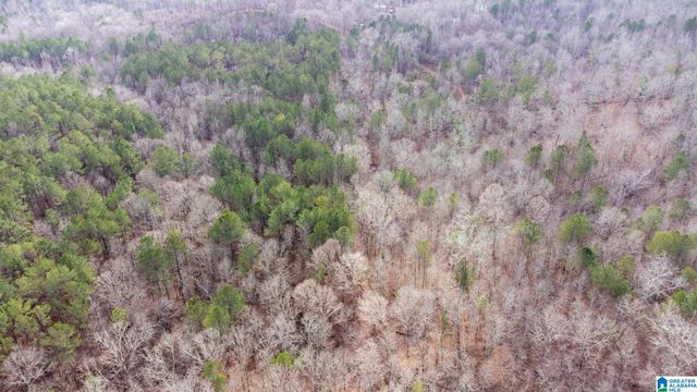 0 COOK SPRINGS ROAD, Odenville, AL 35120