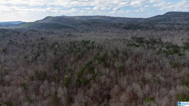 0 COOK SPRINGS ROAD, Odenville, AL 35120