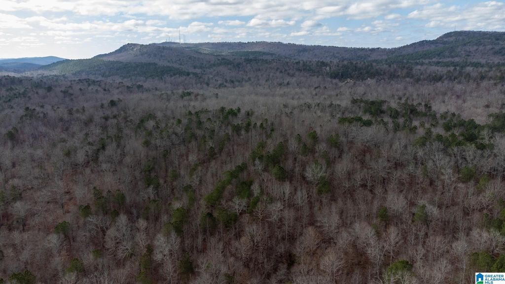 0 COOK SPRINGS ROAD, Odenville, AL 35120