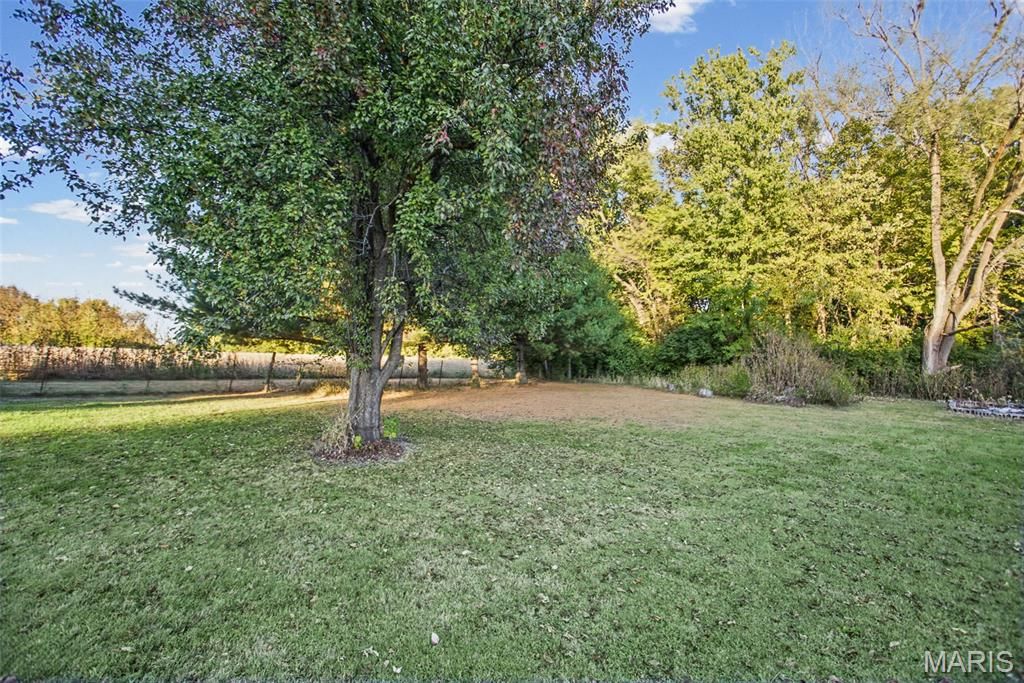 Image 13 of property listing at 1 N Cobb Street, Roodhouse, IL 62082