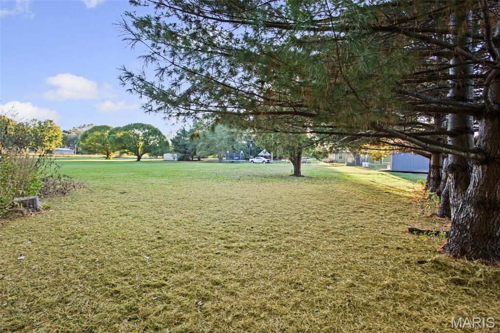 Image 14 of property listing at 1 N Cobb Street, Roodhouse, IL 62082