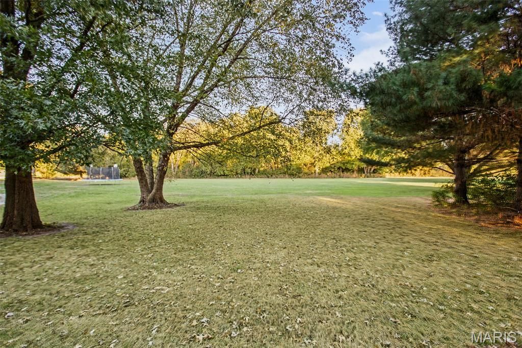 Image 19 of property listing at 1 N Cobb Street, Roodhouse, IL 62082