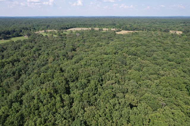 0 Webb Rd Ext, Summertown, TN 38483