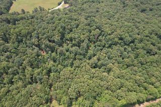 0 Webb Rd Ext, Summertown, TN 38483