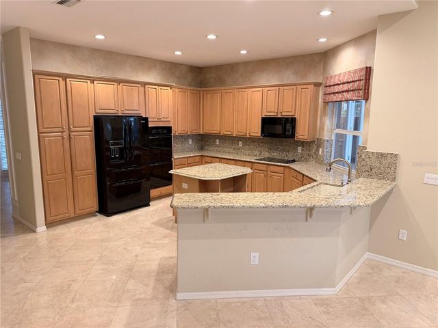 3704 SWANS LANDING DRIVE, Land O Lakes, FL 34639