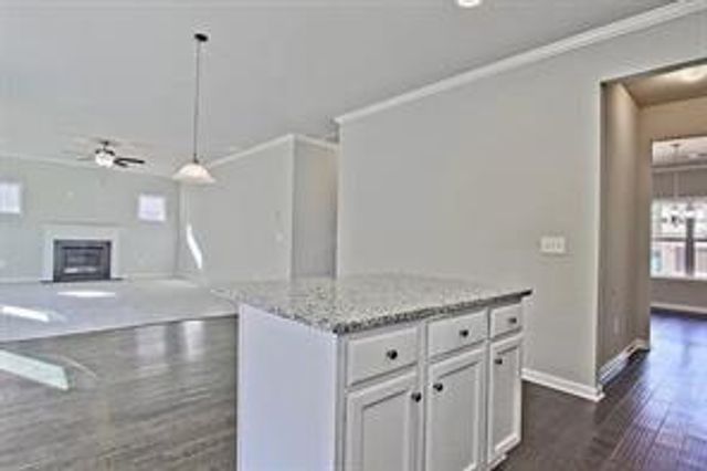 1406 Weeping Tree Drive, Auburn, GA 30011