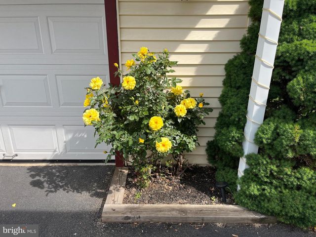 180 ELMORE AVE, Hamilton, NJ 08619