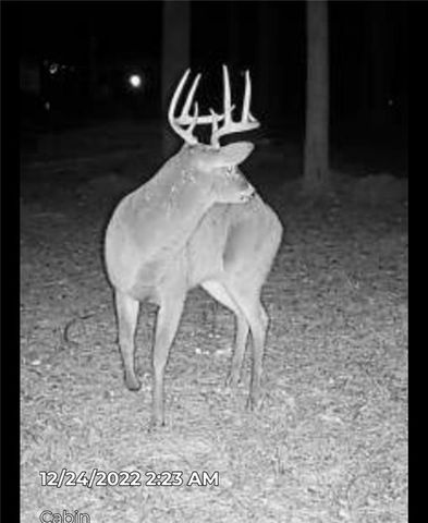 222 Grouse Lane, Talking Rock, GA 30175