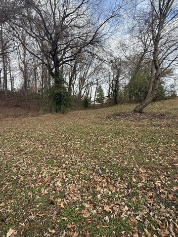 202 Oak Hill Dr, Mcminnville, TN 37110