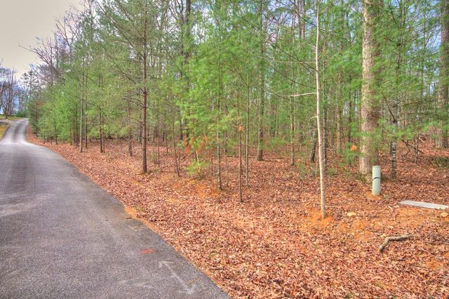 lot 12 Deer Forest, Morganton, GA 30560