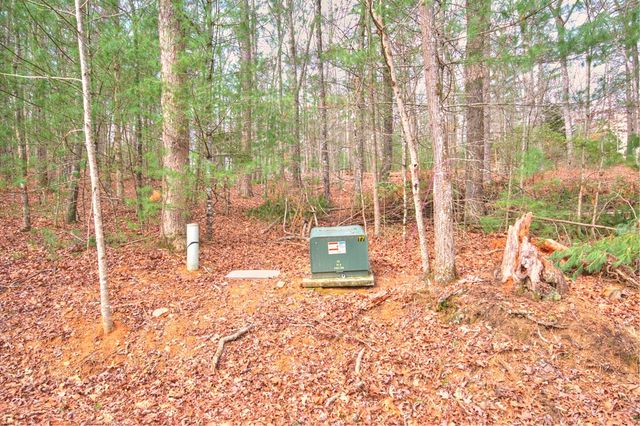 lot 12 Deer Forest, Morganton, GA 30560