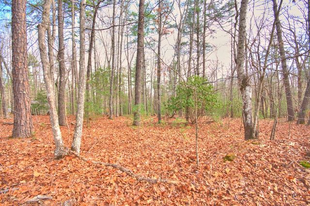 lot 12 Deer Forest, Morganton, GA 30560