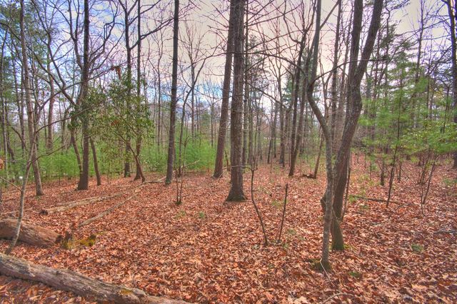 lot 12 Deer Forest, Morganton, GA 30560
