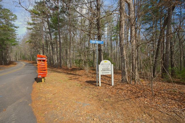 lot 12 Deer Forest, Morganton, GA 30560