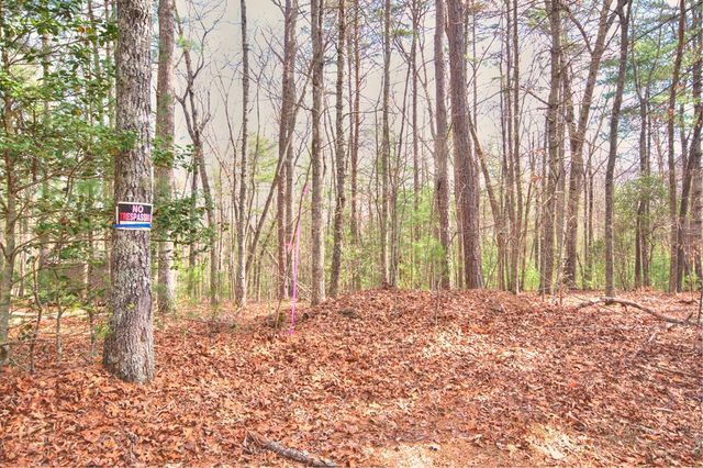 lot 12 Deer Forest, Morganton, GA 30560