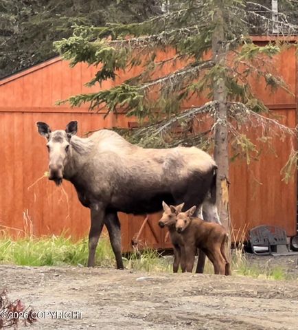 24283 Pollard Loop Road, Kasilof, AK 99610