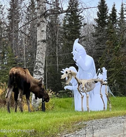 24283 Pollard Loop Road, Kasilof, AK 99610