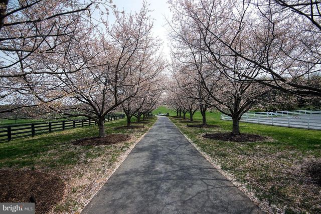 16704 THURSTON RD, Dickerson, MD 20842