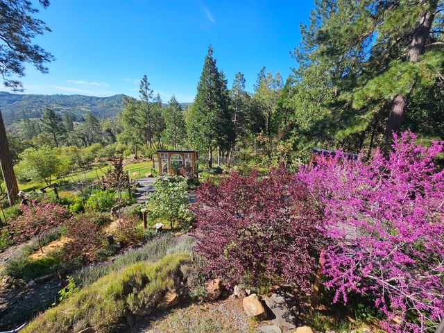 19736 Jesus Maria Rd, Mokelumne Hill, CA 95245