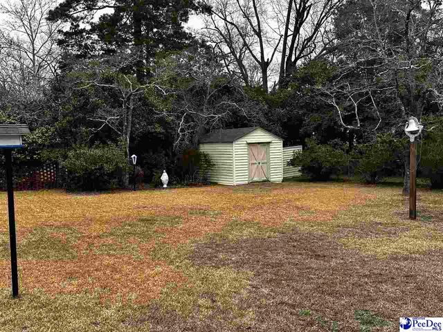 409 Wilson, Hartsville, SC 29550