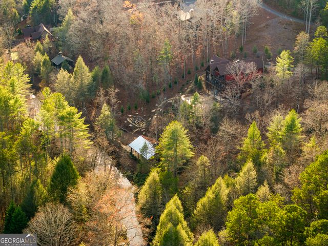 450 Miracle Lane, Blue Ridge, GA 30513