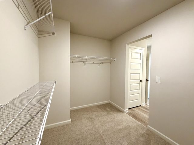 919 Moray Ln, Clarksville, TN 37043