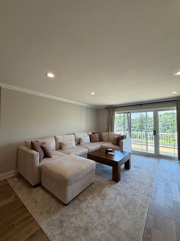 124 Carriage Way Drive 209B, Burr Ridge, IL 60527