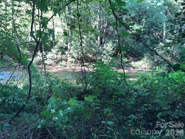 000 Moonshine Trail 19, Hendersonville, NC 28792