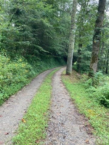 000 Moonshine Trail 19, Hendersonville, NC 28792