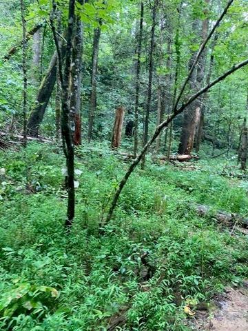 000 Moonshine Trail 19, Hendersonville, NC 28792