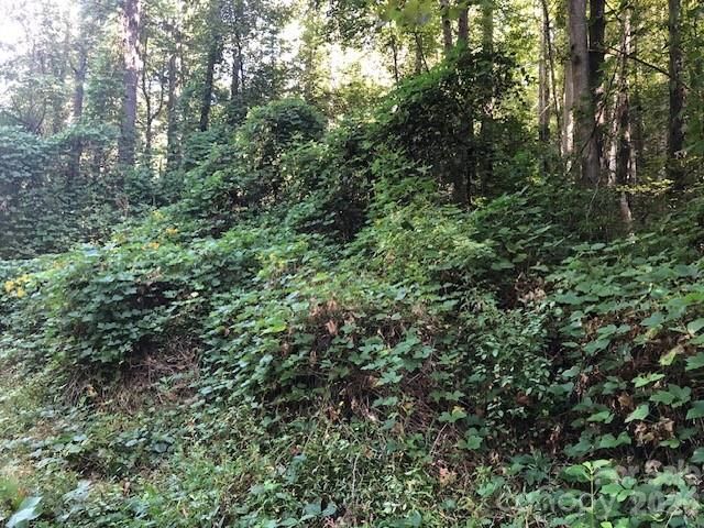 000 Moonshine Trail 19, Hendersonville, NC 28792