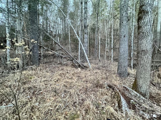 000 Moonshine Trail 19, Hendersonville, NC 28792