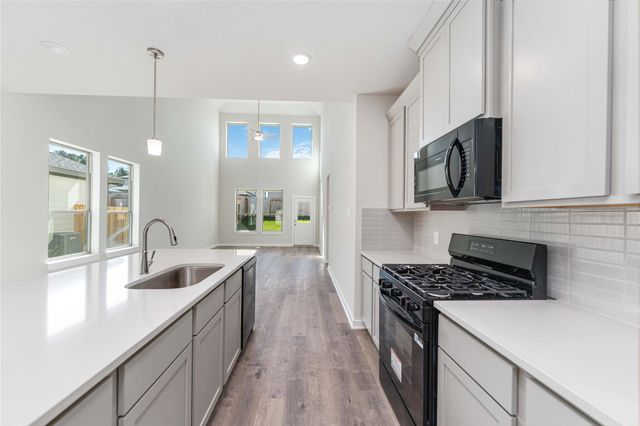 25323 Yellowbells Place, Montgomery, TX 77316