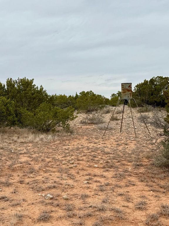 Image 10 of property listing at 537 Lone Mills Road, Robert Lee, TX 76945